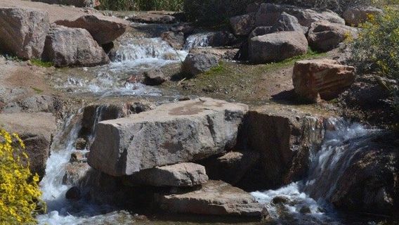 Chandler Nature Center