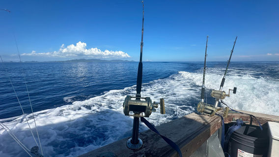 Pacific Marlin Antigua
