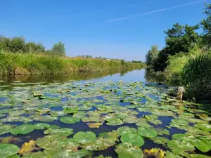 Les Faiseurs de Bateaux
