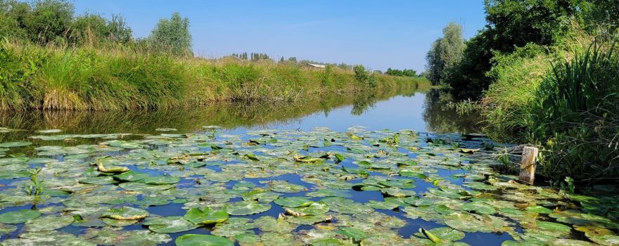 Les Faiseurs de bateaux - Visites du marais audomarois