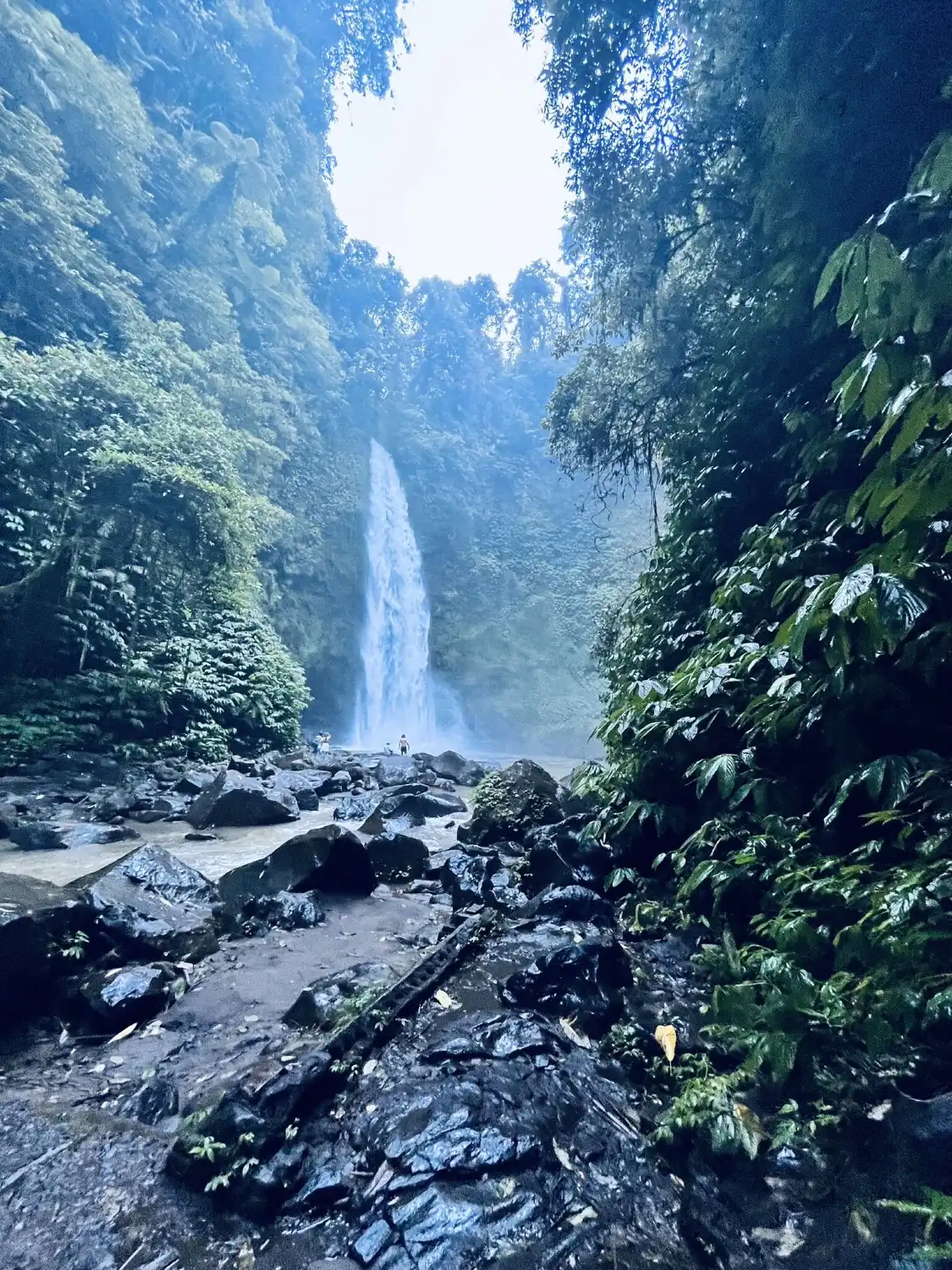 Hotel in zona Nungnung Waterfall