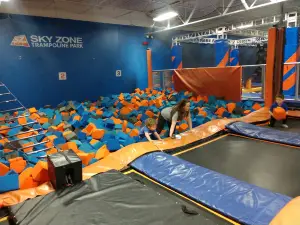 Sky Zone Fenton