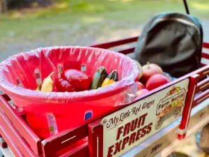 Brecknock Orchard