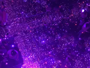 Cosmos Milky Way