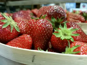 Hubbard's Corey Lake Orchards