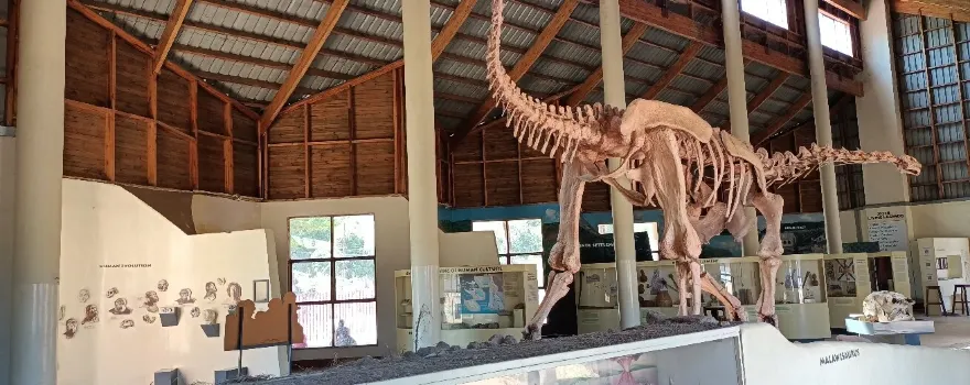 Karonga Museum