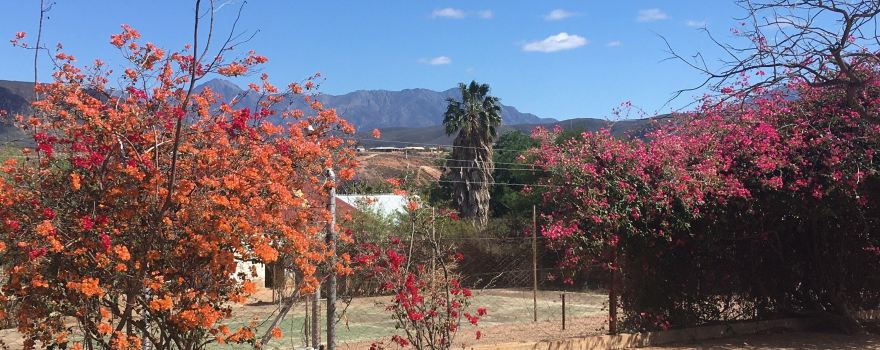Calitzdorp Museum