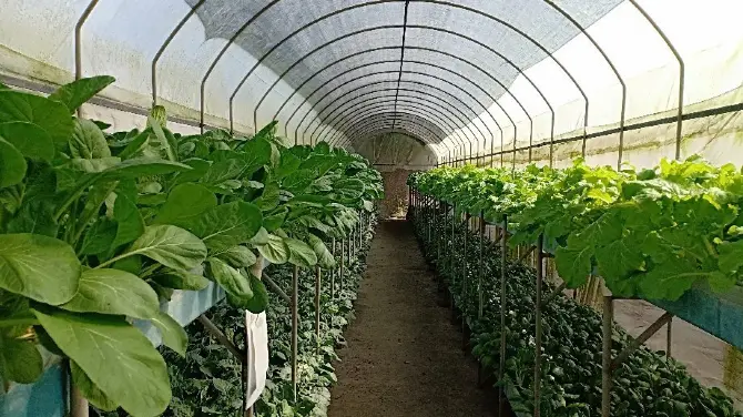 2_Kusuma Agro Wisata