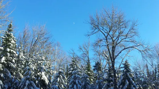 Killarney Lake Park Trail