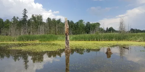 Bear Creek Exotic Wildlife Sanctuary