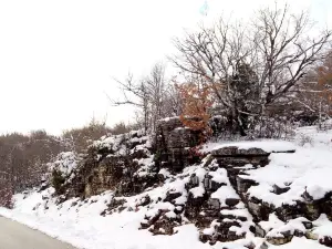 Stone Forest