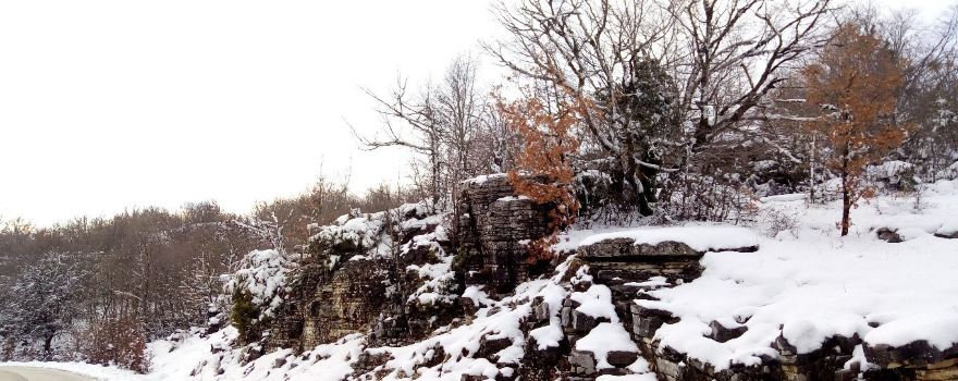 Stone Forest