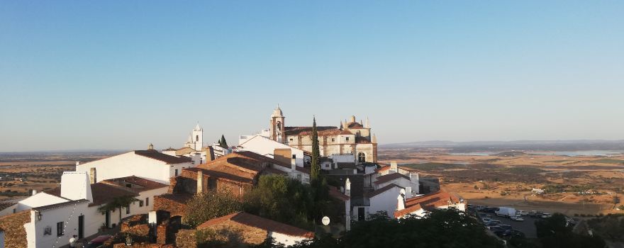 Burrico D´Orada
