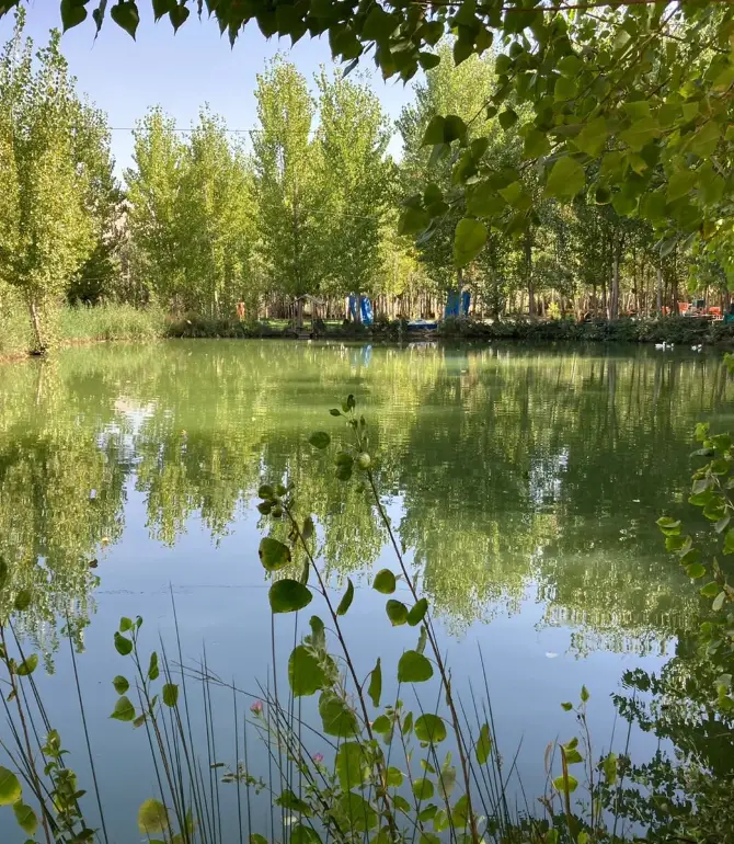 Kfar Zabad