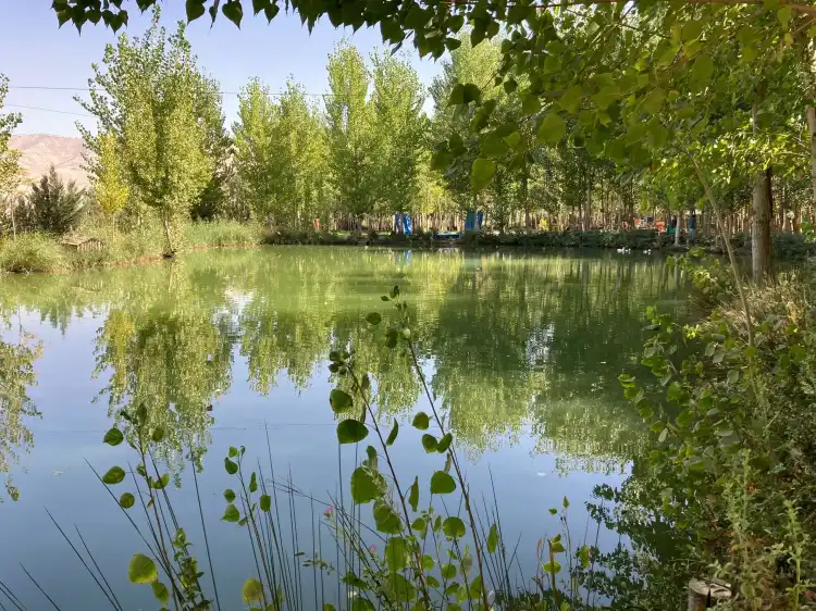 Hotels in Kfar Zabad