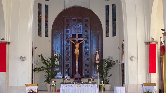 Puerto Plata Adventures & Cruise Ship Shore Excursions!