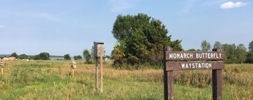 Hillsdale State Park
