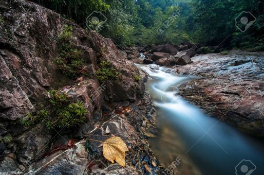 dungun