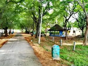 Deer park