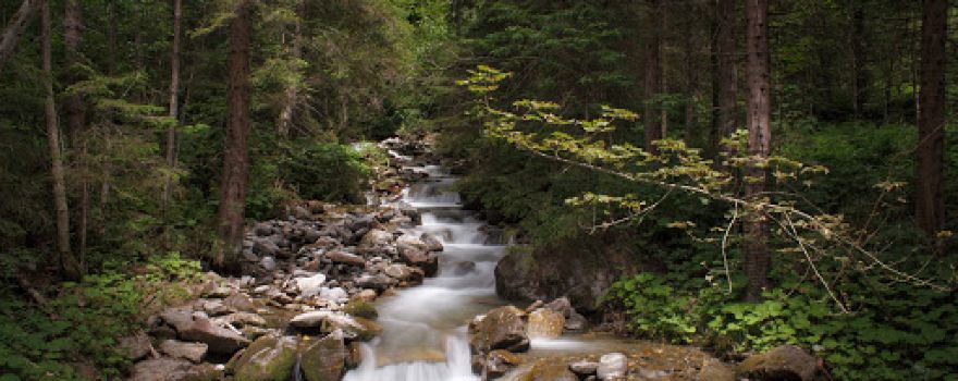 Mühlenwanderweg Kaning