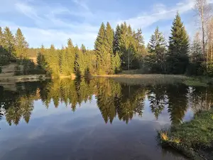 wolf Pit