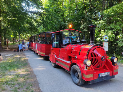 Brezina Forest Park