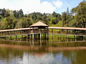 Plaza Principal - Guatica Risaralda