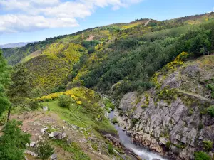 Barragem do Cambêdo