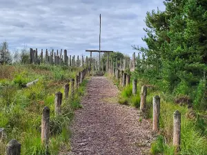 Momhøje Naturcenter
