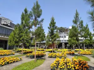 Rumah Atsiri Indonesia
