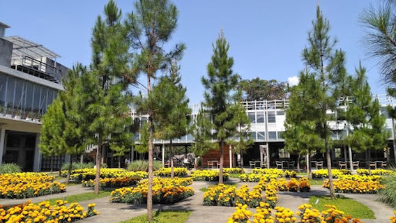Rumah Atsiri Indonesia