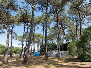 Camping Playa de Taurán Asturias