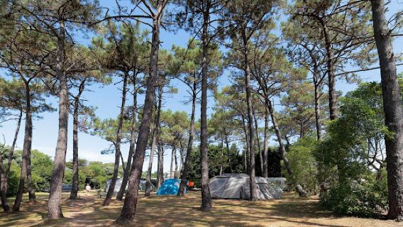 Camping Playa de Taurán Asturias