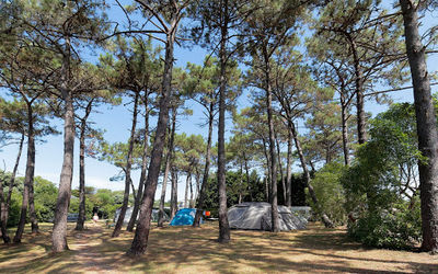 Camping Playa de Taurán Asturias