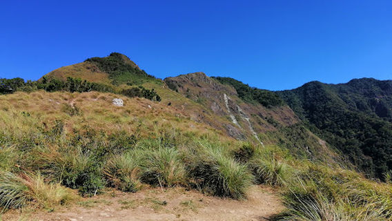 Tarak Trail