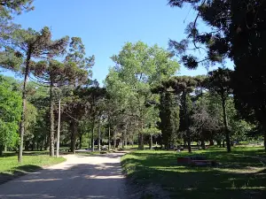 Artigas de Sauce Park