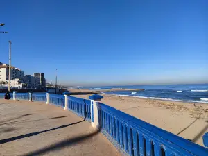 Dolphins beach