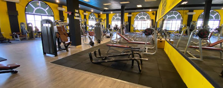 Raw Gym
