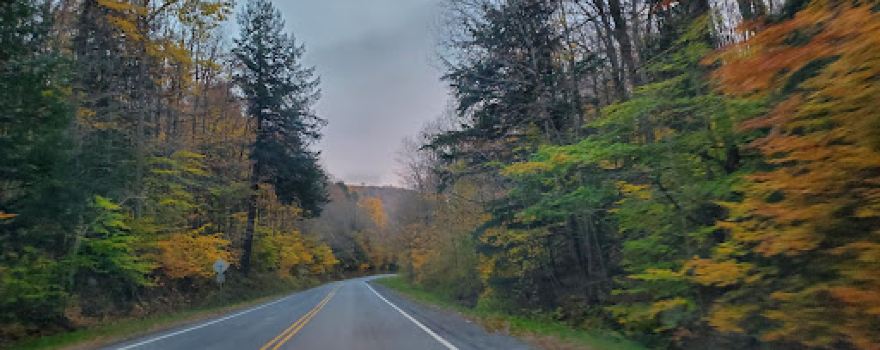 Tioughnioga Wildlife Management Area