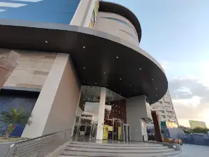 MIRAJ CINEMAS, NATHDWARA