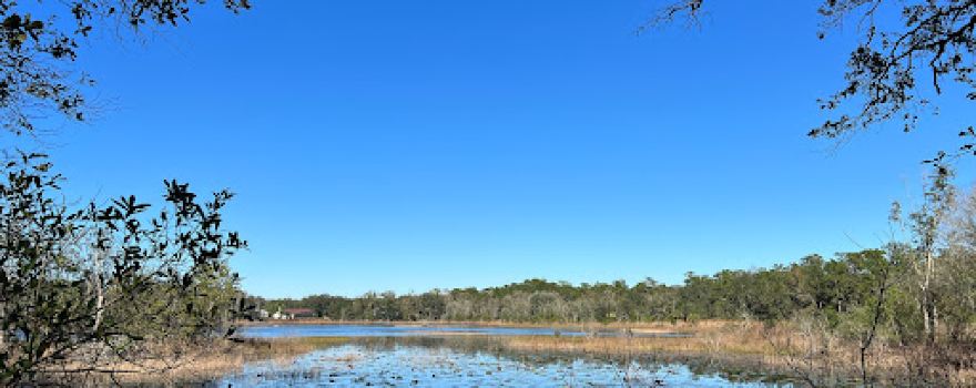 Violet Cury Preserve