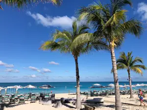 Virgin Voyages’ the Beach Club at Bimini
