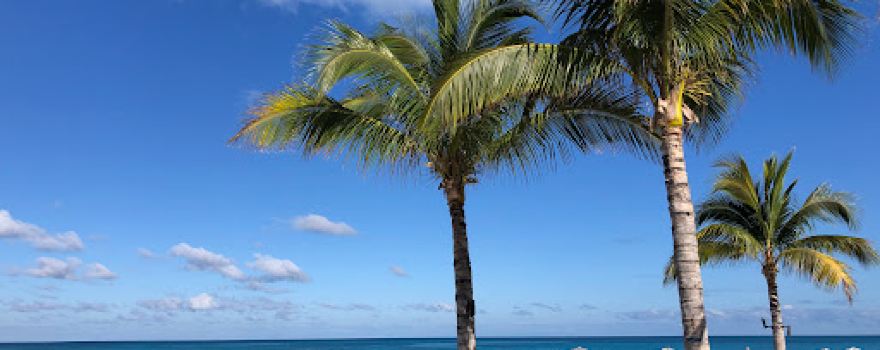 Virgin Voyages’ the Beach Club at Bimini