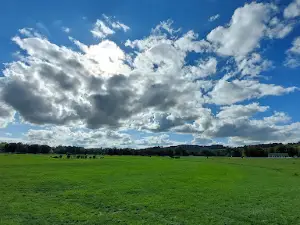 Golf de Vittel Ermitage