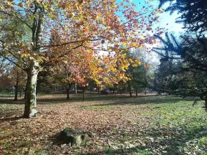 Antonio García Lago Park