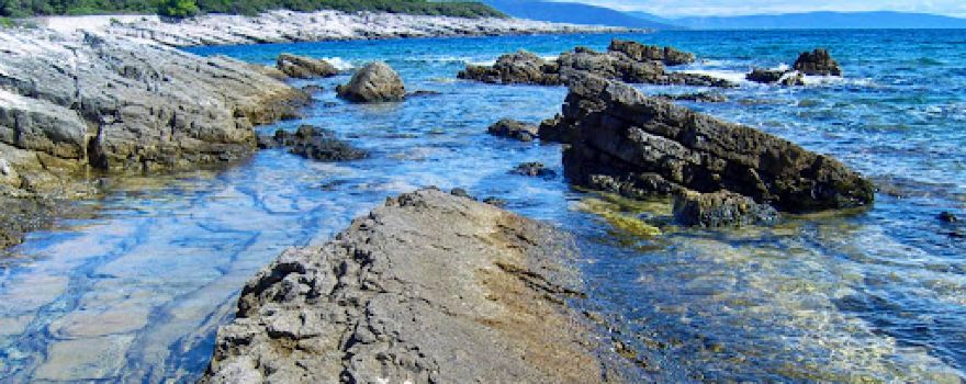 beach Školjić