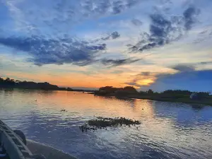 Tetulia River Eco Park