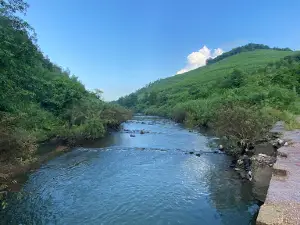Suối Cá Vàng Khe Tọ