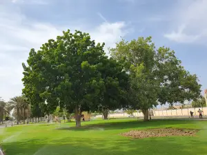 Public Garden