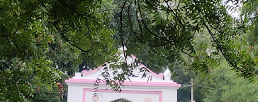 R गार्डन